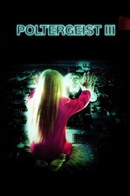 Poltergeist III: O Capítulo Final