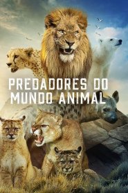 Predadores do Mundo Animal