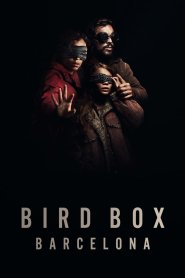 Bird Box Barcelona