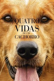 Quatro Vidas de um Cachorro